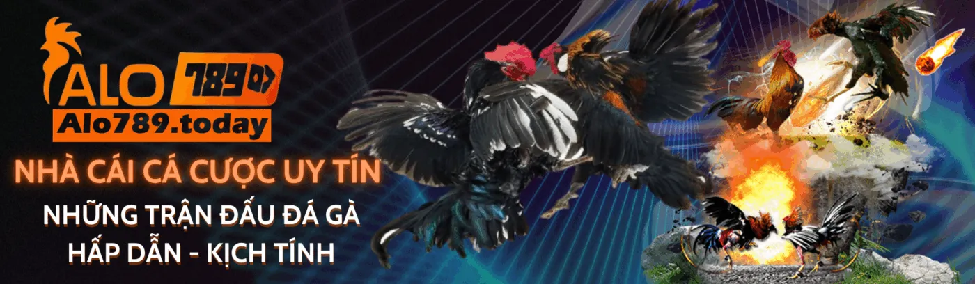 banner projecto.in.net