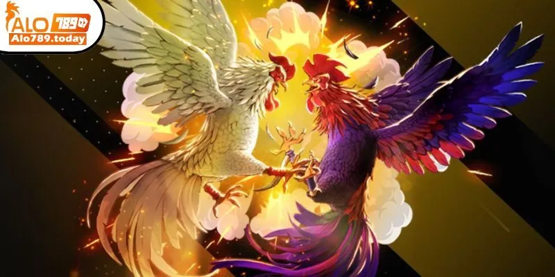 Đá gà Alo789 bùng nổ cảm xúc